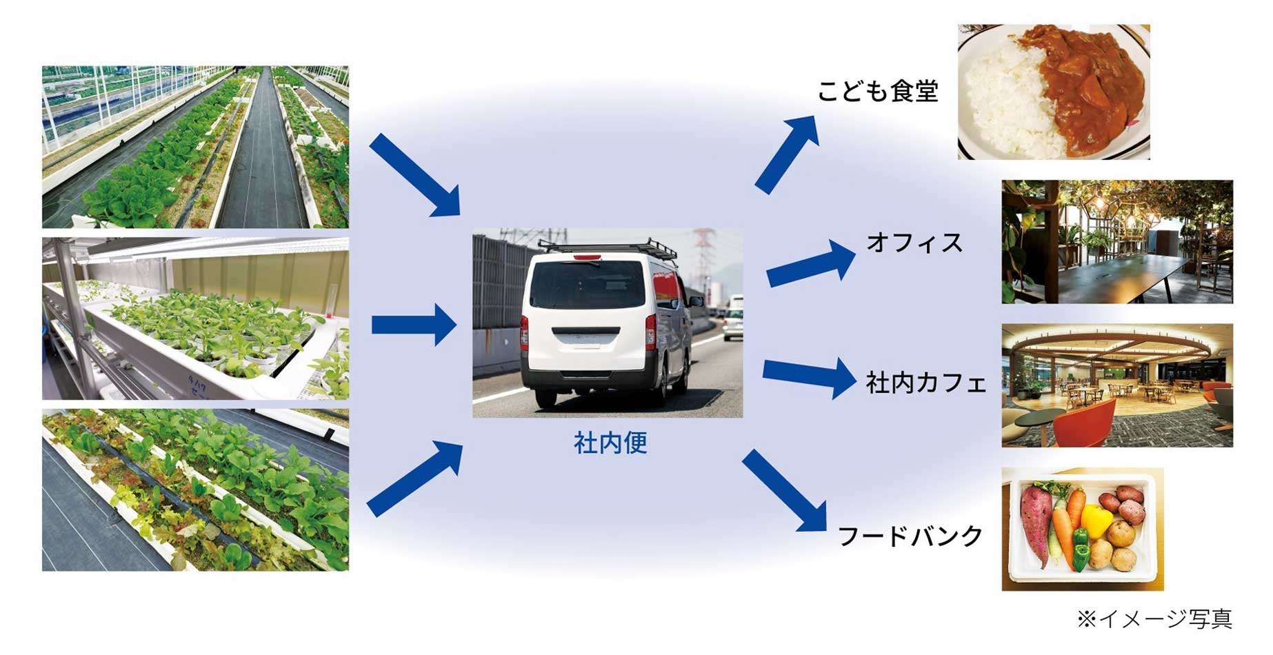 農園で収穫した野菜を、こども食堂やオフィス、フードバンクへ提供することを示す図